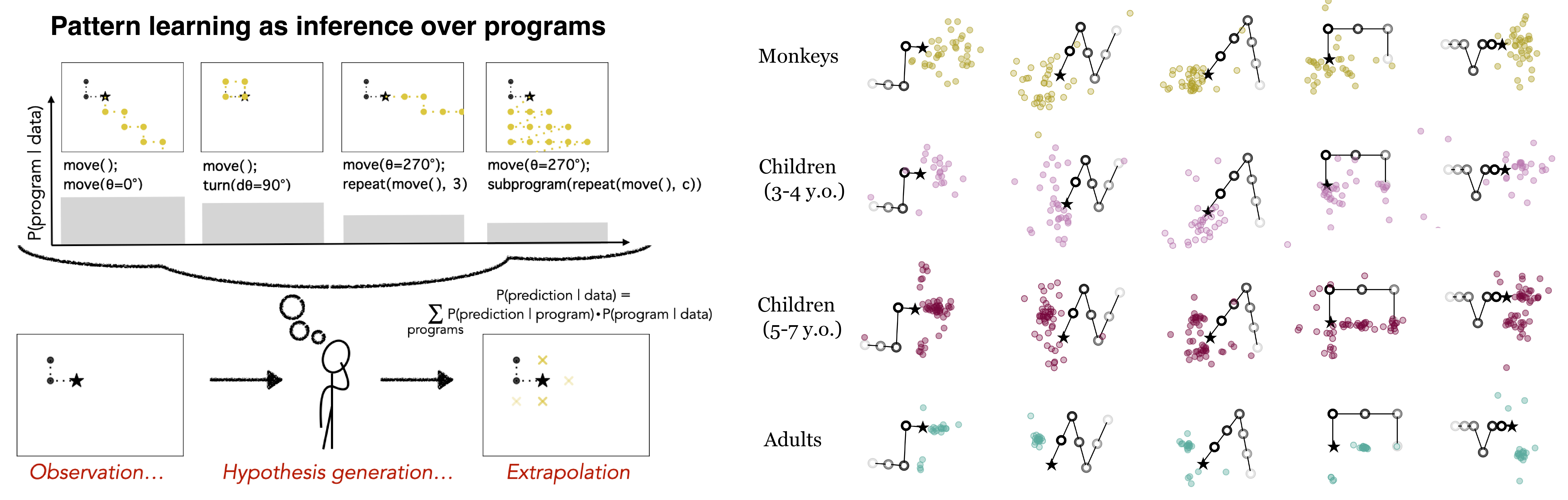 Program induction model and participant predictions across timepoints